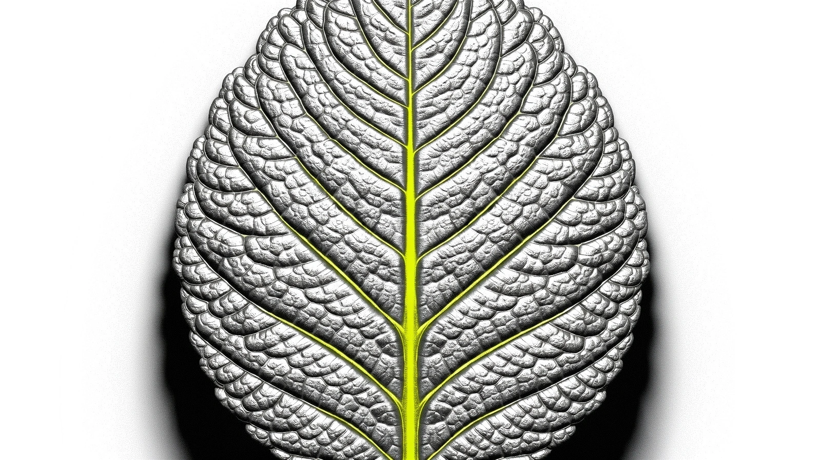 Botanical Structural Integrity